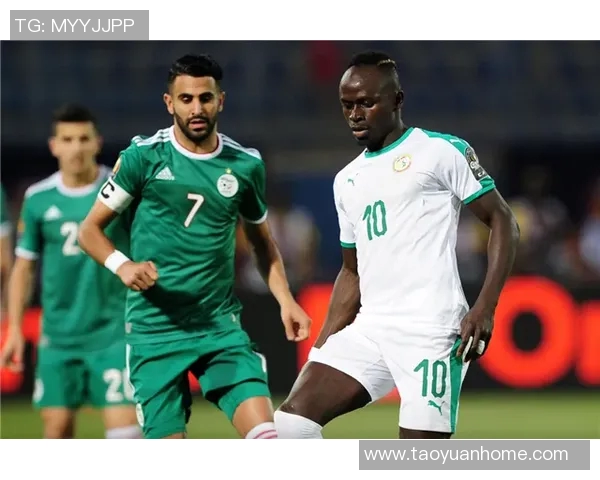 艾尔维达与阿尔的巅峰对决谁将成为胜利者的传奇之路