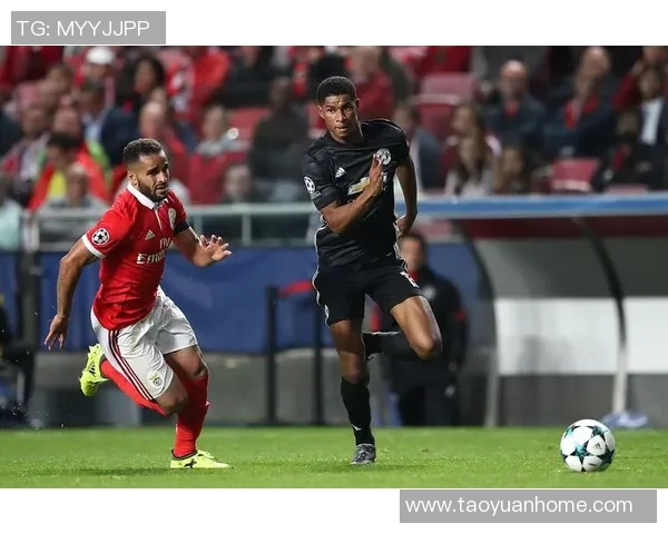 本菲卡与流浪者激情对决直播全程回顾与精彩瞬间分析