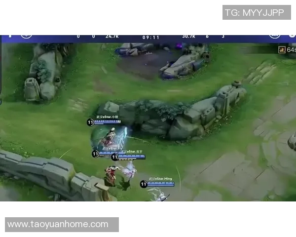 聚焦王者荣耀战术解析：FPX如何运用策略制胜对局MBA