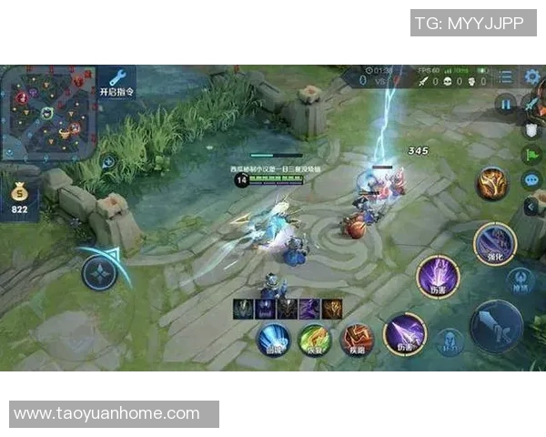 与赵丽畅谈王者荣耀的成长历程与游戏人生的精彩瞬间