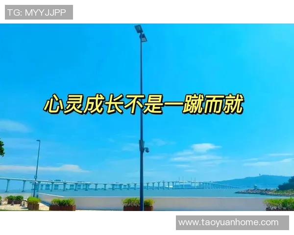 何思雨:在风雨中追寻梦想的勇敢旅程与心灵成长 何思雨:在风雨中追寻梦想的勇敢旅程与心灵成长