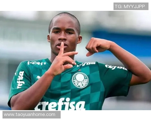 恩德里克：未来足球之星的崛起与挑战之路