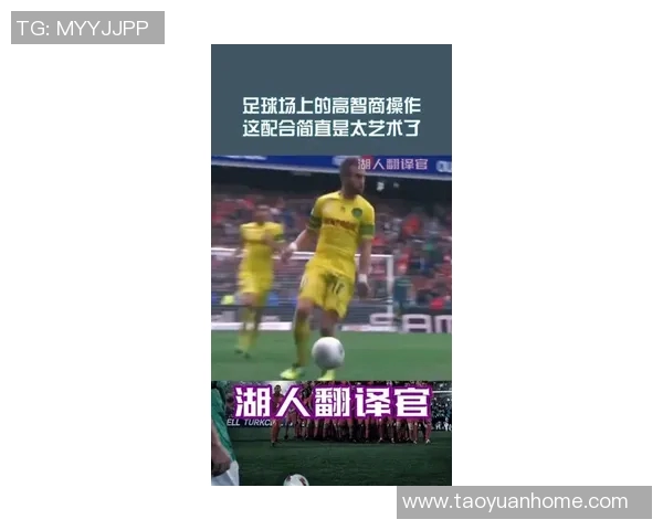 李丽独家揭秘：足球场上的智慧与技巧分享