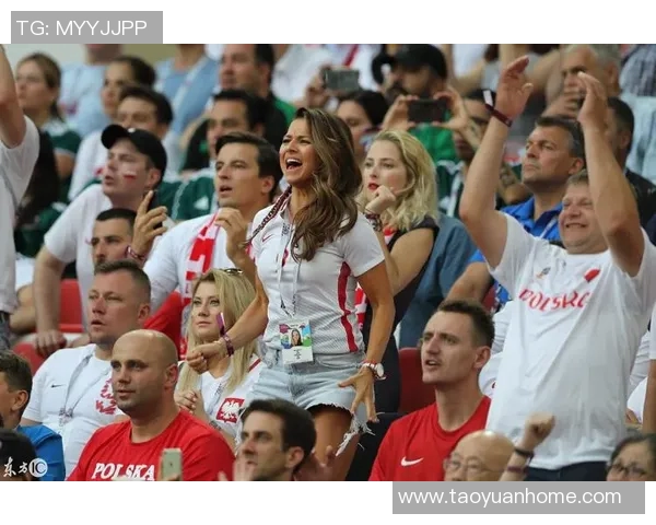 波兰与塞内加尔半场精彩对决回顾与分析