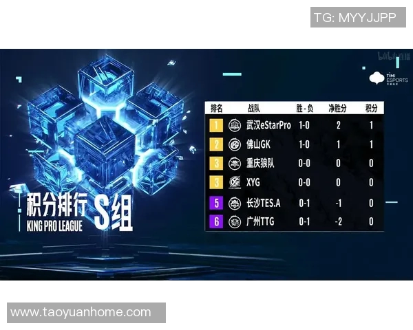 聚焦王者荣耀TES战队节奏分析与战术探讨的深度剖析