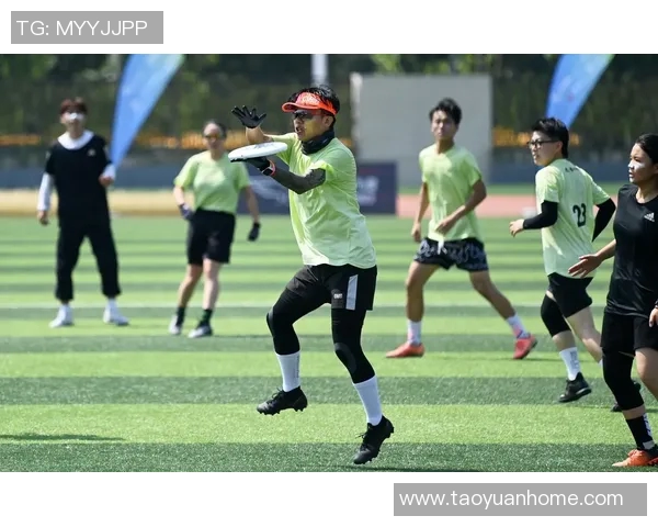 飞盘技术实力排行榜揭晓各队表现一览无余