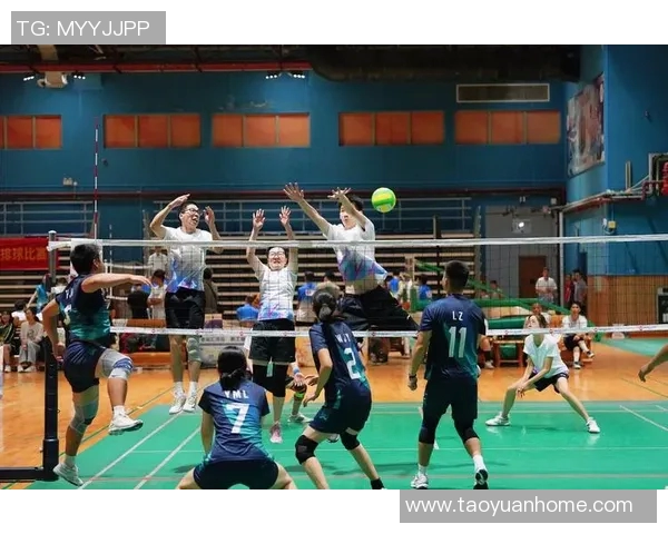 广州排球队区域防守策略揭秘深度解析排球战术与团队协作