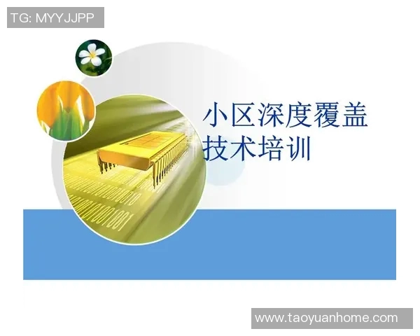 武汉排球队运营分析：成功经验与面临挑战的深度探讨